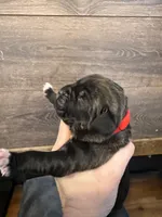 processed/23e1bcad-3622-453e-a595-0ec1f96c4b84/listing/6e50f1d5-d2f4-44a8-a9ff-1d061177d219/f0424771-1af1-4278-9944-7aa6659ece48