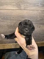 processed/23e1bcad-3622-453e-a595-0ec1f96c4b84/listing/6e50f1d5-d2f4-44a8-a9ff-1d061177d219/f6475c60-8183-4004-beb7-630181b0e2ff