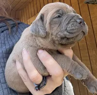 processed/23e1bcad-3622-453e-a595-0ec1f96c4b84/listing/7768e354-6e96-4552-b045-89e2066a96fb/0daf61cb-80cb-4993-a49b-73c471087618