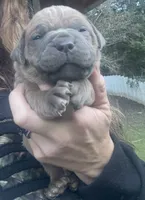 processed/23e1bcad-3622-453e-a595-0ec1f96c4b84/listing/7768e354-6e96-4552-b045-89e2066a96fb/0e847960-6227-419c-8c66-128a9f06c1c1