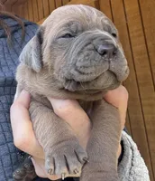 processed/23e1bcad-3622-453e-a595-0ec1f96c4b84/listing/7768e354-6e96-4552-b045-89e2066a96fb/8e46407e-fa19-4c5e-aa7c-a76851b6c0c9