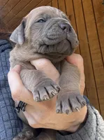 processed/23e1bcad-3622-453e-a595-0ec1f96c4b84/listing/7768e354-6e96-4552-b045-89e2066a96fb/a5c628fe-a648-418a-88c0-d81416b258f1