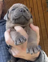 processed/23e1bcad-3622-453e-a595-0ec1f96c4b84/listing/7768e354-6e96-4552-b045-89e2066a96fb/cfdebf0e-f414-479a-b605-63ff4ef4f29d