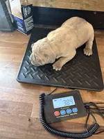 processed/23e1bcad-3622-453e-a595-0ec1f96c4b84/listing/7768e354-6e96-4552-b045-89e2066a96fb/e54ef8bf-0e7e-43f1-b25a-867e968662be