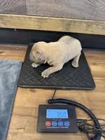 processed/23e1bcad-3622-453e-a595-0ec1f96c4b84/listing/7768e354-6e96-4552-b045-89e2066a96fb/f20b49cc-04ac-49ad-b030-7e61cae13bd5