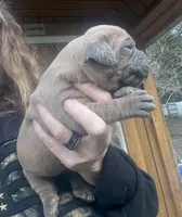 processed/23e1bcad-3622-453e-a595-0ec1f96c4b84/listing/7768e354-6e96-4552-b045-89e2066a96fb/f91bda3d-6214-4189-8ea5-cd594e248431