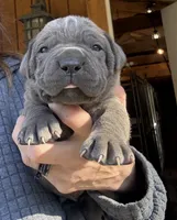 processed/23e1bcad-3622-453e-a595-0ec1f96c4b84/listing/7ea69a2f-f4da-478c-985e-2fe7959fd942/29a048a1-7d03-4f2a-90cd-74d64ac84faf