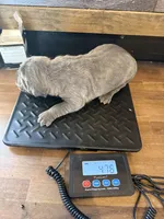 processed/23e1bcad-3622-453e-a595-0ec1f96c4b84/listing/7ea69a2f-f4da-478c-985e-2fe7959fd942/72c2889a-fc78-4ec4-aed8-0abb90f38306