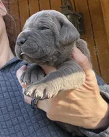 processed/23e1bcad-3622-453e-a595-0ec1f96c4b84/listing/7ea69a2f-f4da-478c-985e-2fe7959fd942/994a2bf5-33c2-4583-b3f9-fa7ce16087cc