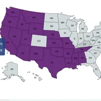 Texas Tornado, a male Cane Corso for sale in Blodgett, OR – Photo 3 of 10