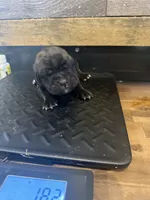 processed/23e1bcad-3622-453e-a595-0ec1f96c4b84/listing/e55d5dc7-c493-47b0-b598-fc64011d62b0/3ec9c468-e8b7-4878-9c3f-db02481a796d