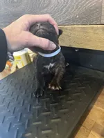 processed/23e1bcad-3622-453e-a595-0ec1f96c4b84/listing/e55d5dc7-c493-47b0-b598-fc64011d62b0/99461401-e04c-4cb3-9c4e-68ffd62bec9f