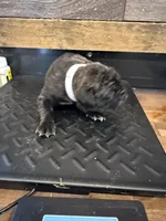 processed/23e1bcad-3622-453e-a595-0ec1f96c4b84/listing/e55d5dc7-c493-47b0-b598-fc64011d62b0/edad08fd-6cbd-4fb4-a39d-de3acc984b7c