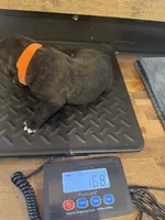 processed/23e1bcad-3622-453e-a595-0ec1f96c4b84/listing/ead036e3-83e1-4e41-8c5f-9b6253ed92af/35da131c-2f31-4c5d-a67e-8a329b7d8099