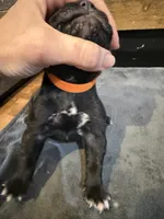 processed/23e1bcad-3622-453e-a595-0ec1f96c4b84/listing/ead036e3-83e1-4e41-8c5f-9b6253ed92af/f3d9402a-9384-488e-9ba3-5ac51a3a8f4e