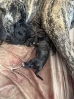 processed/23e55e15-cb63-4f17-8a1c-bca227c82045/facility/0a2dc81e-725b-4c36-8179-e609ebdc2f2d