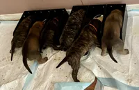 processed/23e55e15-cb63-4f17-8a1c-bca227c82045/facility/5557ca0e-ee4c-4de9-b080-e53388d3a774