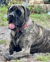 processed/23e55e15-cb63-4f17-8a1c-bca227c82045/facility/d934ca11-3c66-45cc-8b6e-13a8899bd742