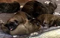 processed/23e55e15-cb63-4f17-8a1c-bca227c82045/facility/e46c90b4-6222-4df7-a7ef-82f4b35d9042