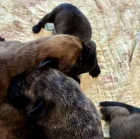 processed/23e55e15-cb63-4f17-8a1c-bca227c82045/facility/fa54b9a7-63db-493e-b7da-6eb21dc41c5e