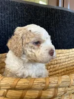 processed/23e831c1-eee5-41ff-a747-a37aa73275fc/listing/1e86e753-f606-47bd-8944-34b662897031/18895c5f-faac-4191-8c7a-c3d856cae735