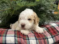 processed/23e831c1-eee5-41ff-a747-a37aa73275fc/listing/1e86e753-f606-47bd-8944-34b662897031/2ddd0407-585e-464a-860f-56f521f57905