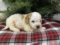 processed/23e831c1-eee5-41ff-a747-a37aa73275fc/listing/1e86e753-f606-47bd-8944-34b662897031/6586e999-8c59-41c8-b022-b6bdf62d3a2f