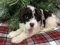 processed/23e831c1-eee5-41ff-a747-a37aa73275fc/listing/29e972c1-dc26-4964-b2a5-f242200d214e/16145bdb-22be-4731-a16f-c55e1df217b2