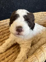 processed/23e831c1-eee5-41ff-a747-a37aa73275fc/listing/29e972c1-dc26-4964-b2a5-f242200d214e/36db98ca-e0f4-4382-a22c-293612e1116f