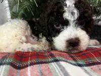 processed/23e831c1-eee5-41ff-a747-a37aa73275fc/listing/29e972c1-dc26-4964-b2a5-f242200d214e/5db113c5-f039-4c1e-87bd-ade4e2fe680c