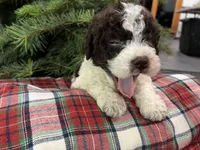 processed/23e831c1-eee5-41ff-a747-a37aa73275fc/listing/29e972c1-dc26-4964-b2a5-f242200d214e/6628faef-13cc-4233-8f3a-324b6116b81c