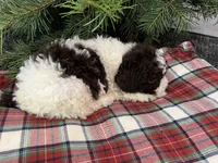 processed/23e831c1-eee5-41ff-a747-a37aa73275fc/listing/29e972c1-dc26-4964-b2a5-f242200d214e/8f5956cf-a830-4c74-a063-2354871765a2