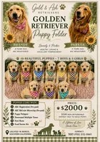Juliette, a female Golden Retriever for sale in Norco, CA – 4 of 6