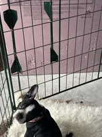 processed/23f6bdc3-c47a-40a8-89be-15b7e0d474d7/listing/33479409-9c48-41fc-8945-9863c0758251/41d60011-02bd-4858-a06b-61c9b54aba06