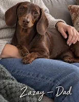 🎃 Meet Spooky! 🎃, a male Miniature Dachshund for sale in Kissimmee, FL – 5 of 10
