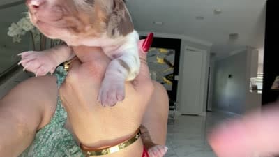 🐾 Meet Snoopy! 🐾, a male Miniature Dachshund for sale in Kissimmee, FL – 7 of 7
