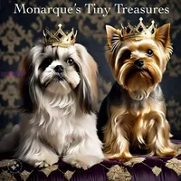 processed/23fce008-52d9-4afe-a41a-18b3f2b65692/facility/2137b804-212e-4511-b986-d022837b0ca6