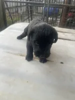 processed/24066d81-ff4d-4c26-9ddd-dc4c2ba4e413/listing/21f498ef-8a68-475e-8260-01666bbc0b5c/e17752a4-b7a4-49f1-b00c-0f3134b54022