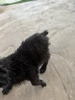 processed/24066d81-ff4d-4c26-9ddd-dc4c2ba4e413/listing/7aa2cb9a-f3b5-4879-8c2d-3db246b133e8/4f7d4d20-2da6-4fe3-a88f-09021c7ecf4d