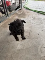 processed/24066d81-ff4d-4c26-9ddd-dc4c2ba4e413/listing/7aa2cb9a-f3b5-4879-8c2d-3db246b133e8/729e8e93-4b93-4b31-919f-c22f36f57a5f