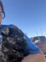 processed/24066d81-ff4d-4c26-9ddd-dc4c2ba4e413/listing/9b5a9254-85e2-4009-920c-481c6d70c87a/2c21f9a9-ad15-4a3e-b40f-b261e14dec67