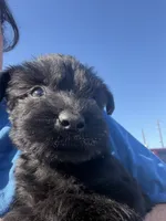 processed/24066d81-ff4d-4c26-9ddd-dc4c2ba4e413/listing/9b5a9254-85e2-4009-920c-481c6d70c87a/3a092c15-bc11-4401-bae6-dbe34f9389fa