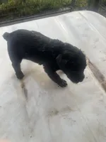 processed/24066d81-ff4d-4c26-9ddd-dc4c2ba4e413/listing/cc21ea60-8596-4176-9fc8-a531497b693b/96e599c0-3369-4fb7-a99f-a3742cb5c7fd