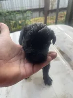 processed/24066d81-ff4d-4c26-9ddd-dc4c2ba4e413/listing/cc21ea60-8596-4176-9fc8-a531497b693b/c3ab673c-175b-4767-b294-a3442aef3631