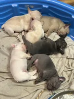 Facility photo