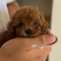 processed/240b7acb-95c8-4447-97de-7dd1795bdbe1/facility/015baa1d-2342-4bd4-8caf-e6e3b1f3fbd5