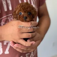 processed/240b7acb-95c8-4447-97de-7dd1795bdbe1/facility/3615af9f-786c-4c0d-b289-8a7f4b700c83