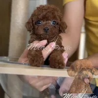 processed/240b7acb-95c8-4447-97de-7dd1795bdbe1/facility/639ba4bf-4a5a-4b7f-8ac7-a426cee6e903