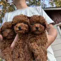 processed/240b7acb-95c8-4447-97de-7dd1795bdbe1/facility/70e175b1-0c39-4def-8fe6-733613664534