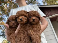 processed/240b7acb-95c8-4447-97de-7dd1795bdbe1/facility/70e175b1-0c39-4def-8fe6-733613664534